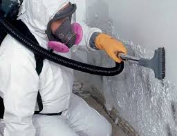 Mold Documentation for Insurance Claims in New Paris, OH